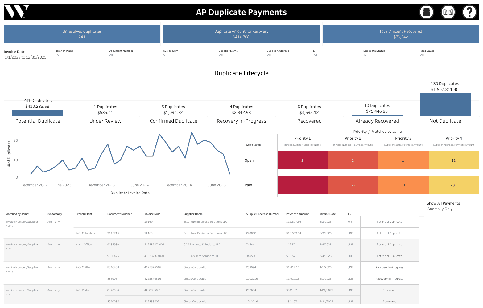 AP Duplicate Payment Prevention Tool